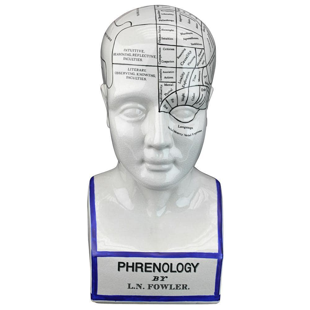 Design Toscano Porcelain Phrenology Novelty Head Statue SP020