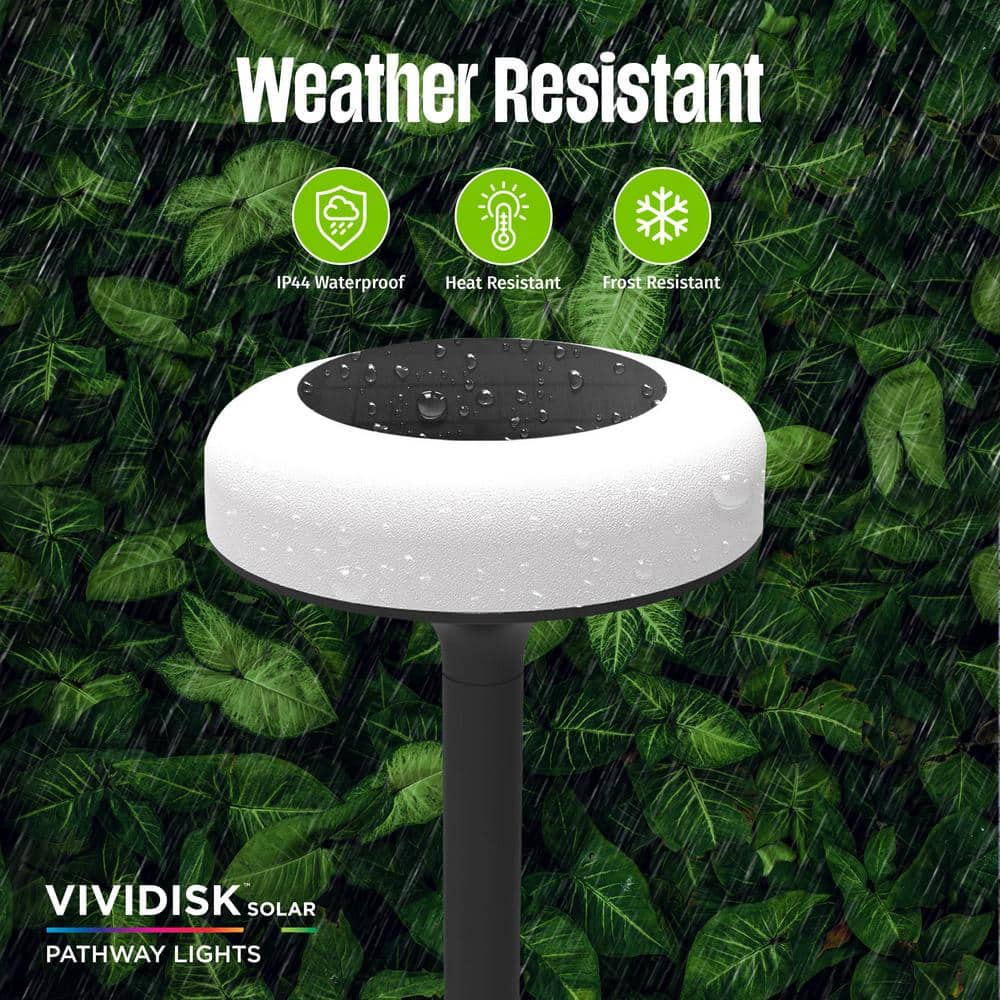 Color Changing LED Solar Pathway Disk Lights Multipack