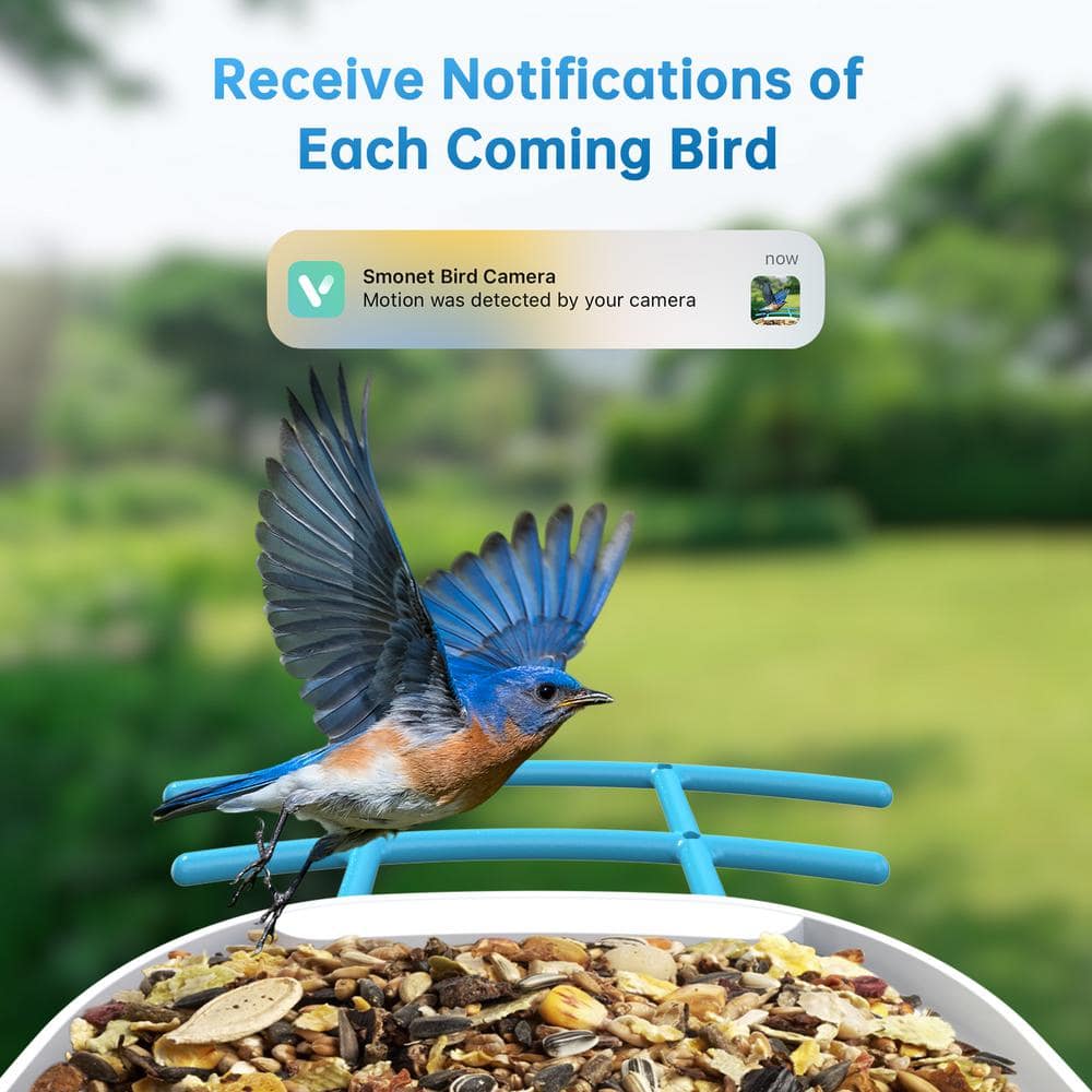 Blue and White Plastic Smart Bird Feeder with Camera