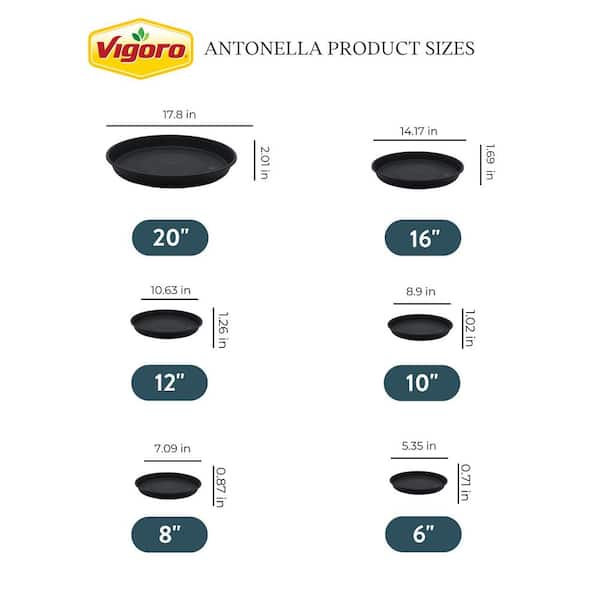 Vigoro 10 in. Dia. Antonella Black Plastic Plant Saucer