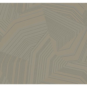 Glint Dotted Maze Metallic Non-Pasted Non-Woven Paper Wallpaper