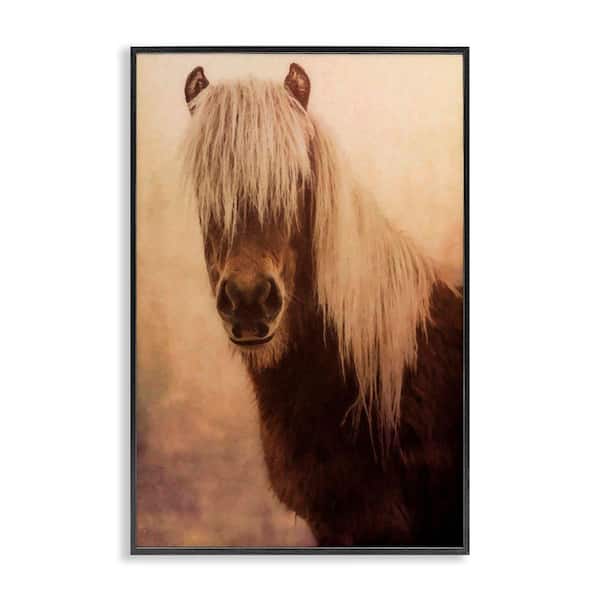 Stupell Industries Misty Morning Horse by Graffi*tee Studios Black Framed Animal Giclee Art Print 24 in. x 16 in.