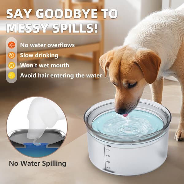 Canine Dog Puts Paw In Water Bowl Dog Drinking Bowls No Spill No Spill  Water Bowl For Dogs, 30Oz Slow Drinking Dog Slobber Stopper, Non Spilli  Elevated Dog Bowls