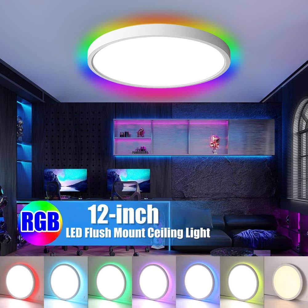 12 in. Remote Controlled RGB Color-Changing & Selectable 3000K-6500K CCT Integrated LED Ceiling Light Flush Mount 2-Pack price history on PriceWatchPro