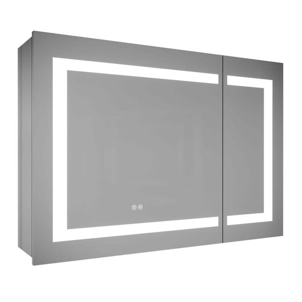 36 in. W x 30 in. H Rectangular Silver Recessed/Surface Mount Bi-View Bathr