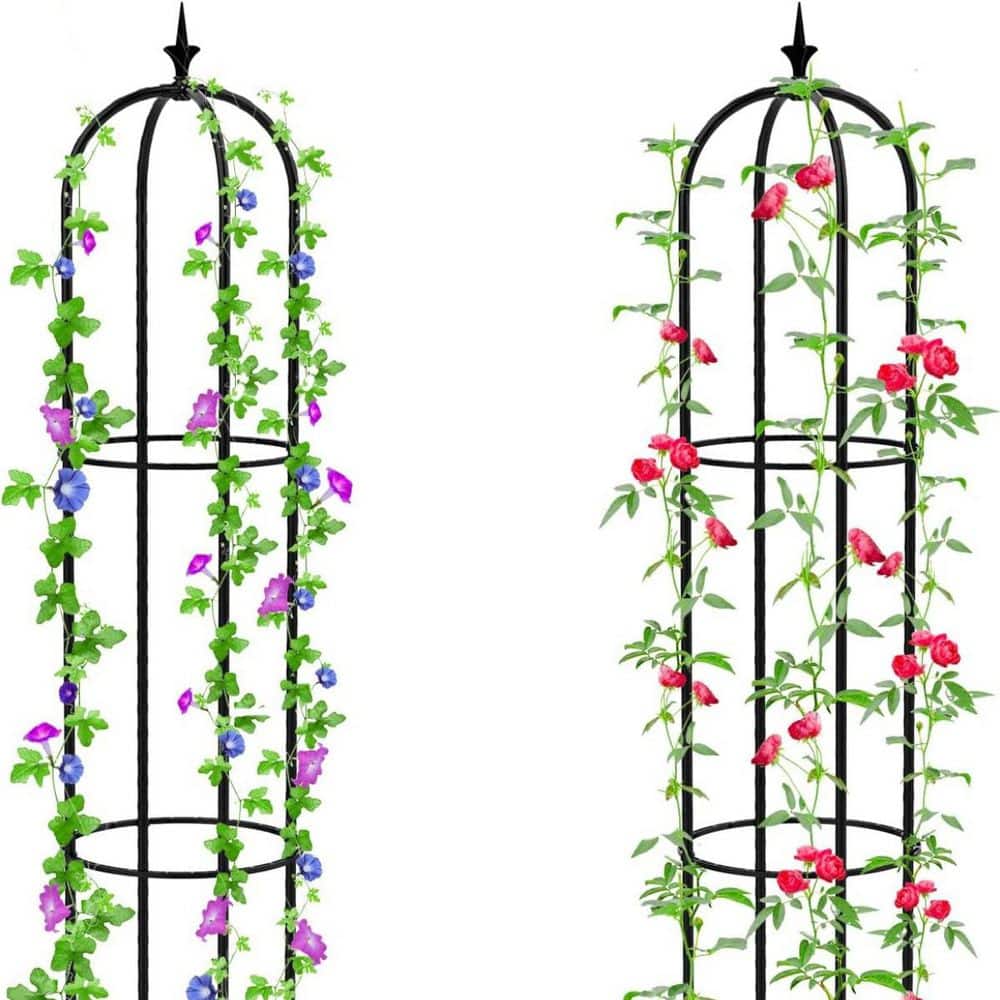 4 ft. Iron Obelisk Trellis for Climbing Plants, 2-Pack price history on PriceWatchPro