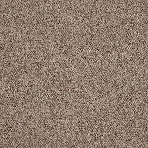Hanville  - Gable - Brown 27 oz. SD Polyester Loop Installed Carpet