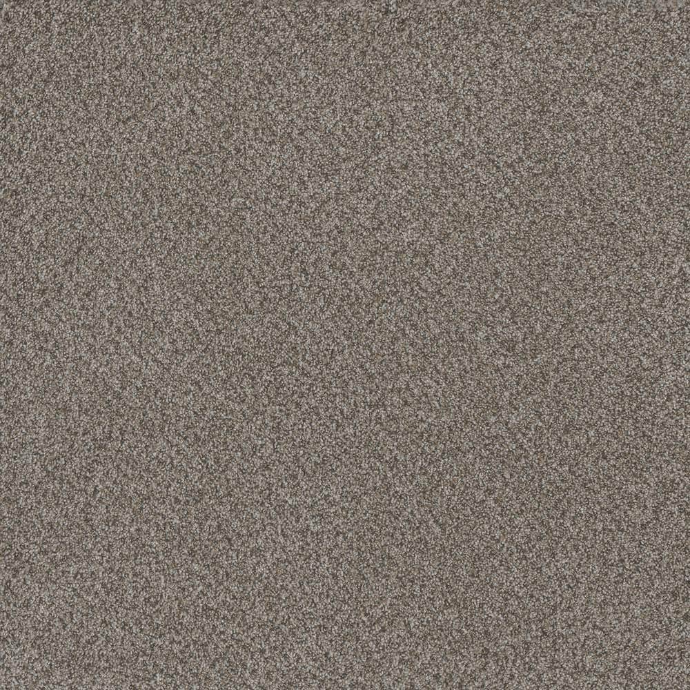 8 in. x 8 in. Texture Carpet Sample - Serene Glory III - Color Cool price history on PriceWatchPro