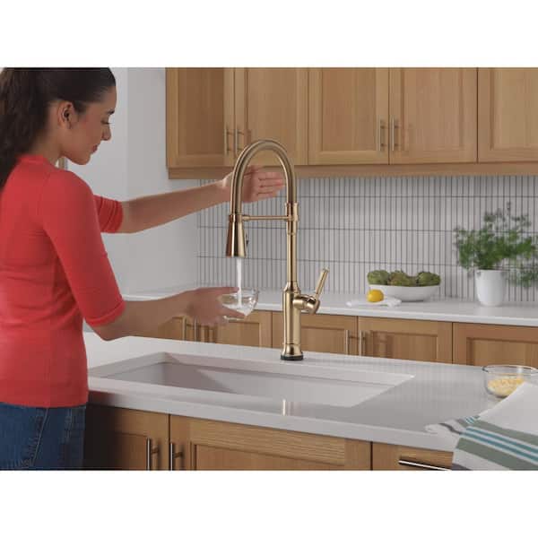 Delta Renaldi Touch2O Spring Spout Gold Champagne Bronze 23.13 in