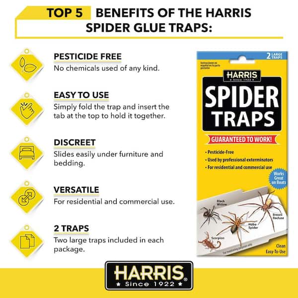 Harris Disposable Window Fly Traps (12-Pack)