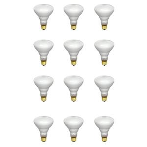 65-Watt Soft White Dimmable Incandescent BR30 Flood Light Bulb Maintenance Pack (12-Pack)