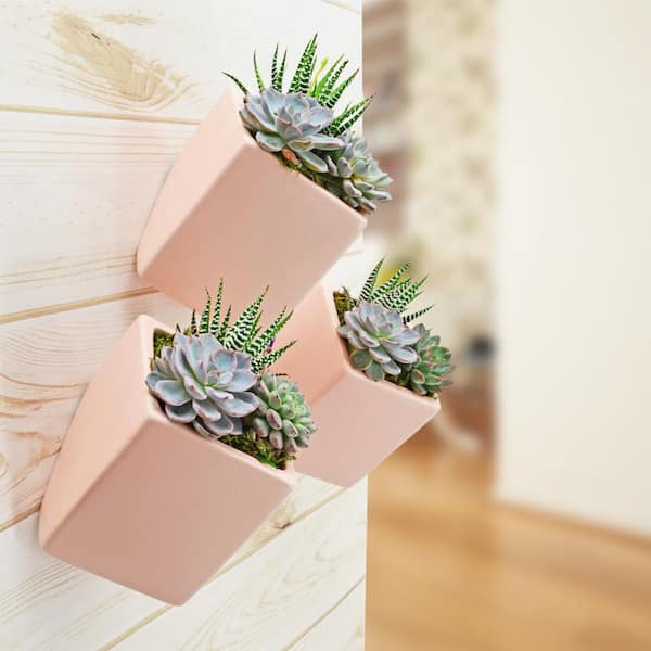Cube 3-1/2 in. x 4 in. Coral Ceramic Wall Planter (3-Piece)