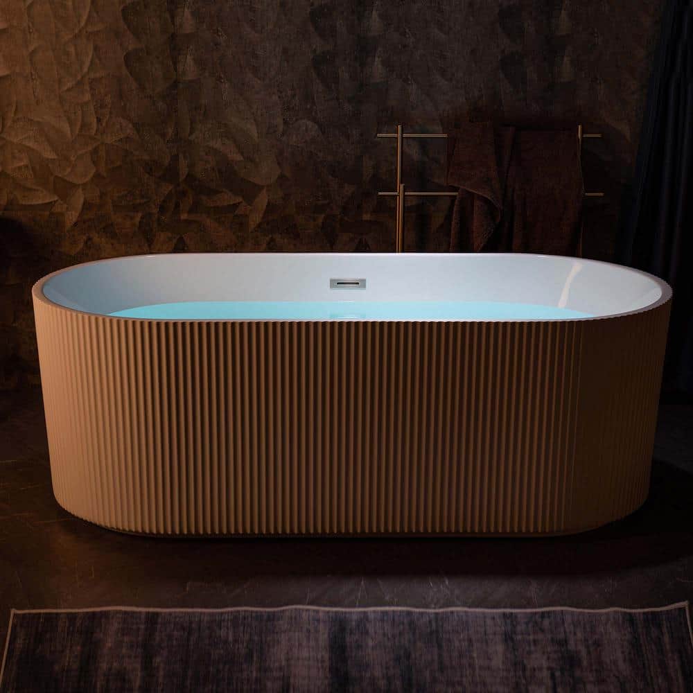 Pavanjit 67" White Acrylic Freestanding Soaking Bathtub with Chrome Drain