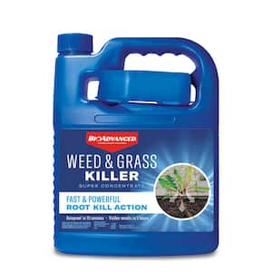 64 oz. Super Concentrate Weed And Grass Killer