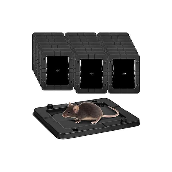 Indoor Outdoor Strong Sticky Large Plastic Non Toxic Mouse Insect Snake Rodent Killer Trap 24-Pack