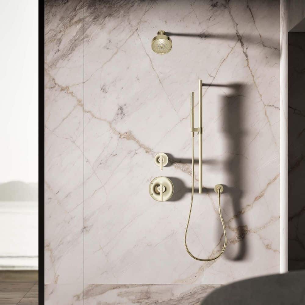 Vibrant French Gold Two-Function Handheld Shower Head