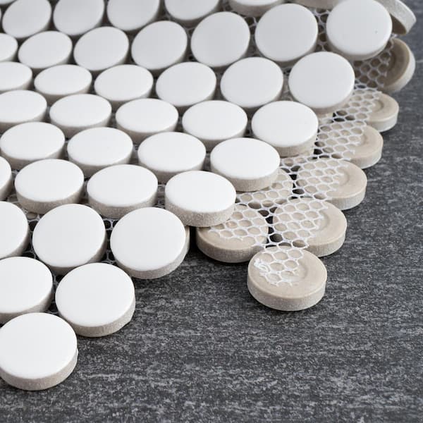 Round Pure MOLOVO Porcetile Round White 11.58 in. x 12.41 in. Penny