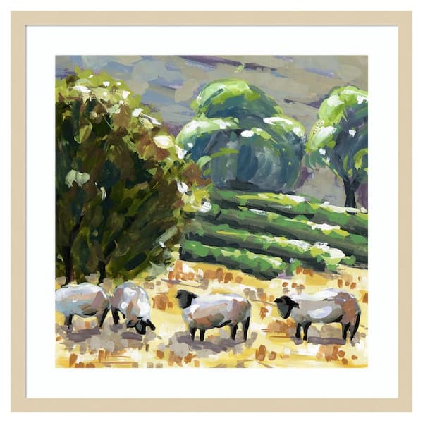 Amanti Art Sheep in Summer I by Melissa Wang 25 in. W x 25 in. H. Wood Framed Wall Art Print Framed in Brown