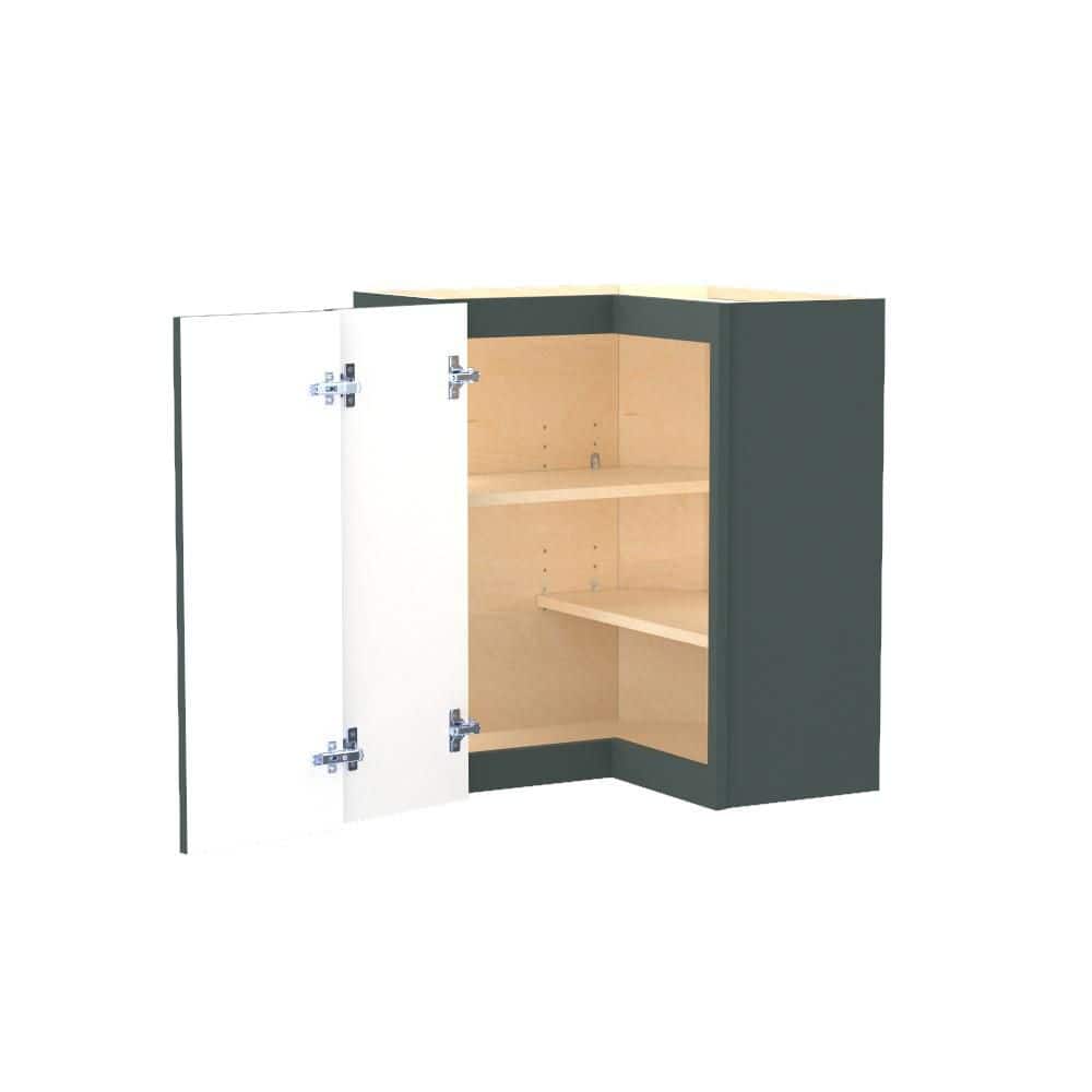 Franklin 24 in. W x 24 in. D x 30 in. H Assembled Plywood Wall Kitchen Corner Cabinet in Verdant Green with Shelves price history on PriceWatchPro