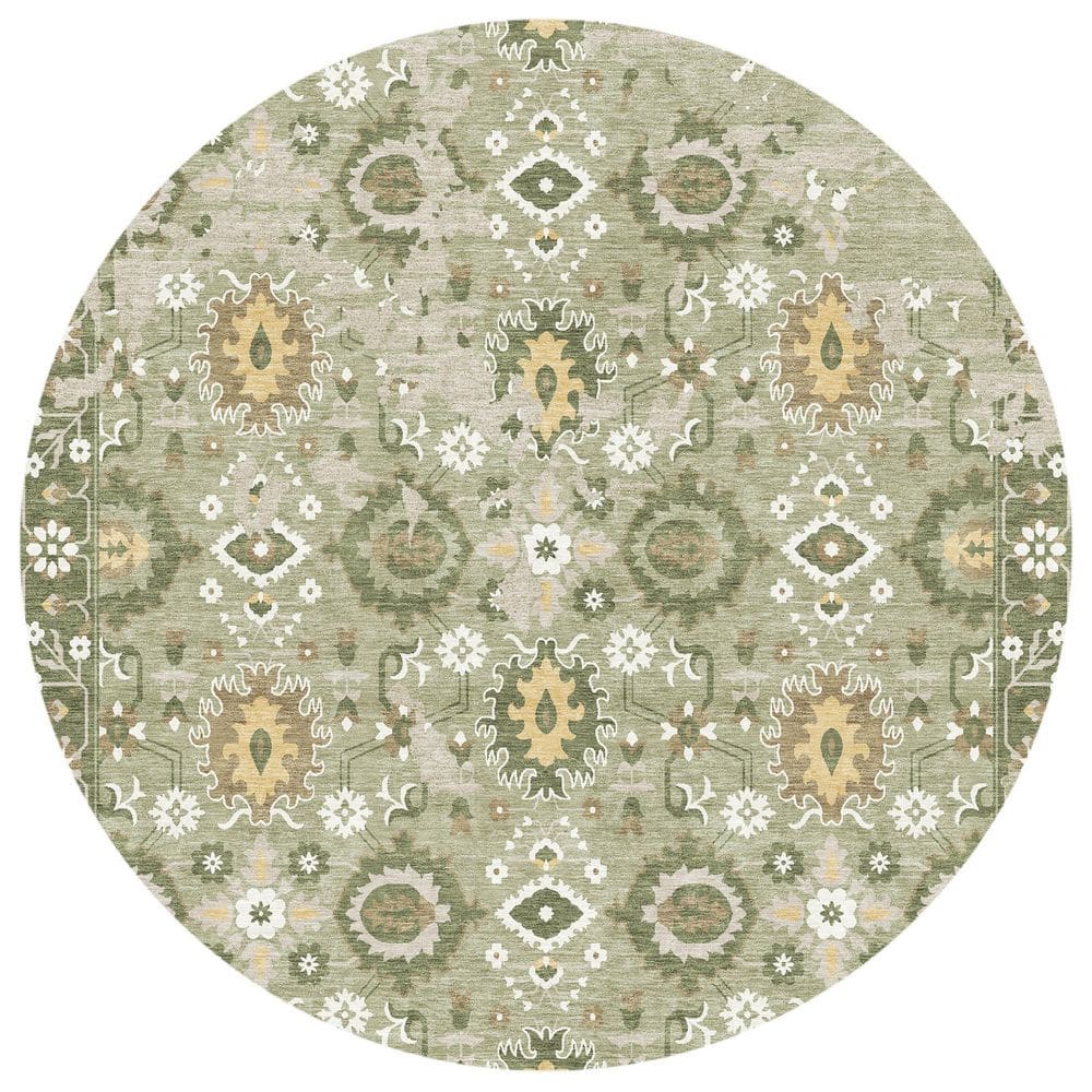 Chantille Machine Washable Indoor/Outdoor Abstract ACN2990 Sage 8 ft. x 8 ft. Round Rug price history on PriceWatchPro