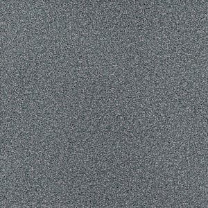 Spicework I  - Springdale - Gray 40 oz. SD Polyester Texture Installed Carpet