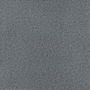 Spicework II  - Springdale - Gray 60 oz. SD Polyester Texture Installed Carpet