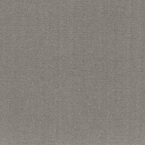 Poppy Color Grey Cloud Gray 42 oz. SD Polyester Pattern Installed Carpet