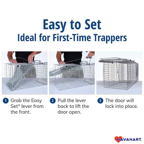 Havahart Small 1-Door Easy Set Humane Catch-and-Release Live Animal Cage  Trap for Squirrel and Rabbit 1083 - The Home Depot