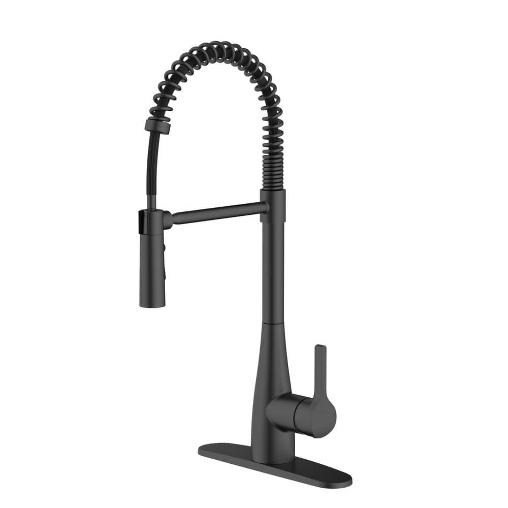 Single-Handle 22 in. H Coil-Spring Pull Down Sprayer Kitchen Faucet with Rotatable Spray Head in Matte Black price history on PriceWatchPro