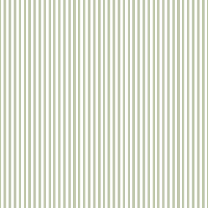 Little Explorers 2 Green Small Stripe Matte Finish Non-Pasted Non-Woven Wallpaper Sample