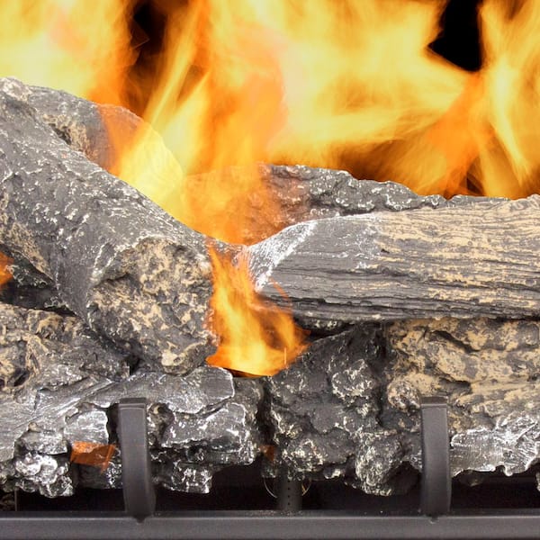 Pleasant Hearth Valley Oak 24 in. Vent-Free Dual Fuel Gas Fireplace Logs  with Remote VFL2-VO24DR - The Home Depot