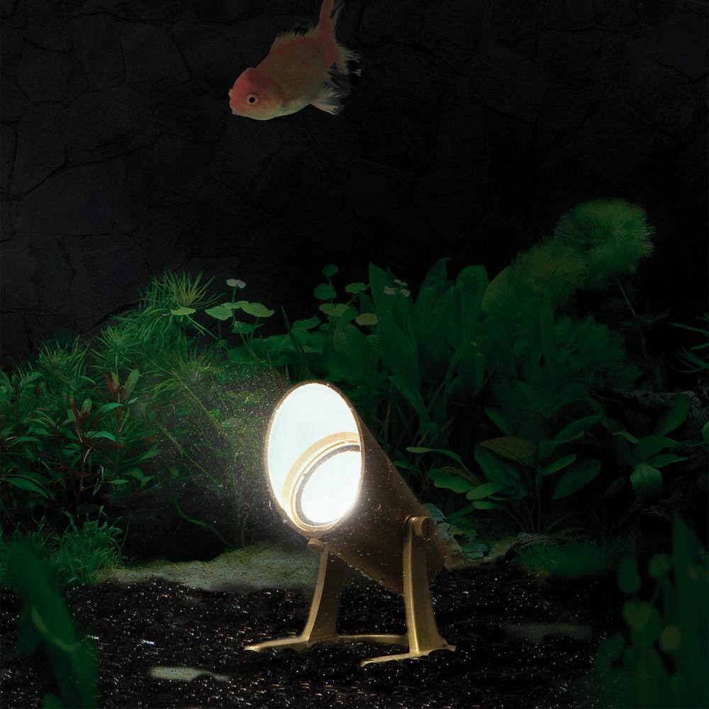 Natural Brass LED Underwater Spotlight