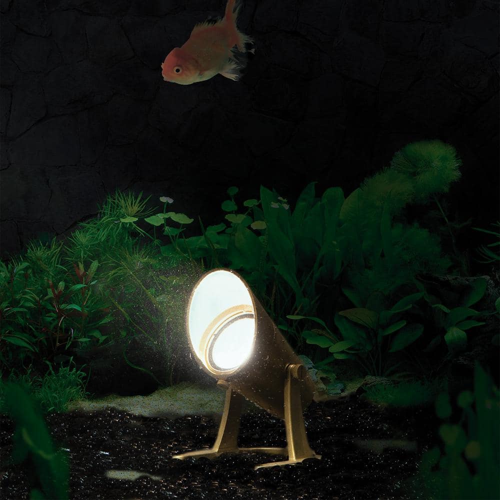 Natural Brass LED Underwater Spotlight