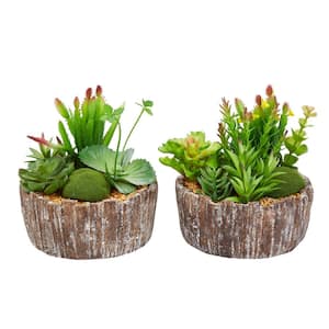 8 in. Artificial Faux Succulent Arrangement with Decorative Concrete Planter (Set of 2)