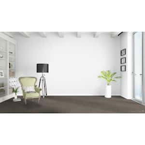 Montrose  - Debut - Gray 35 oz. SD Polyester Texture Installed Carpet
