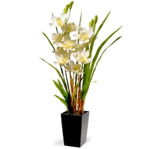 31 in. White Orchid Flowers