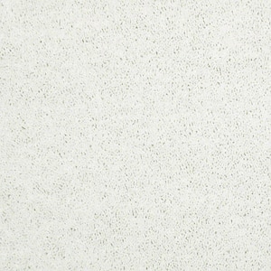 8 in. x 8 in. Texture Carpet Sample - Alpine - Color Purity