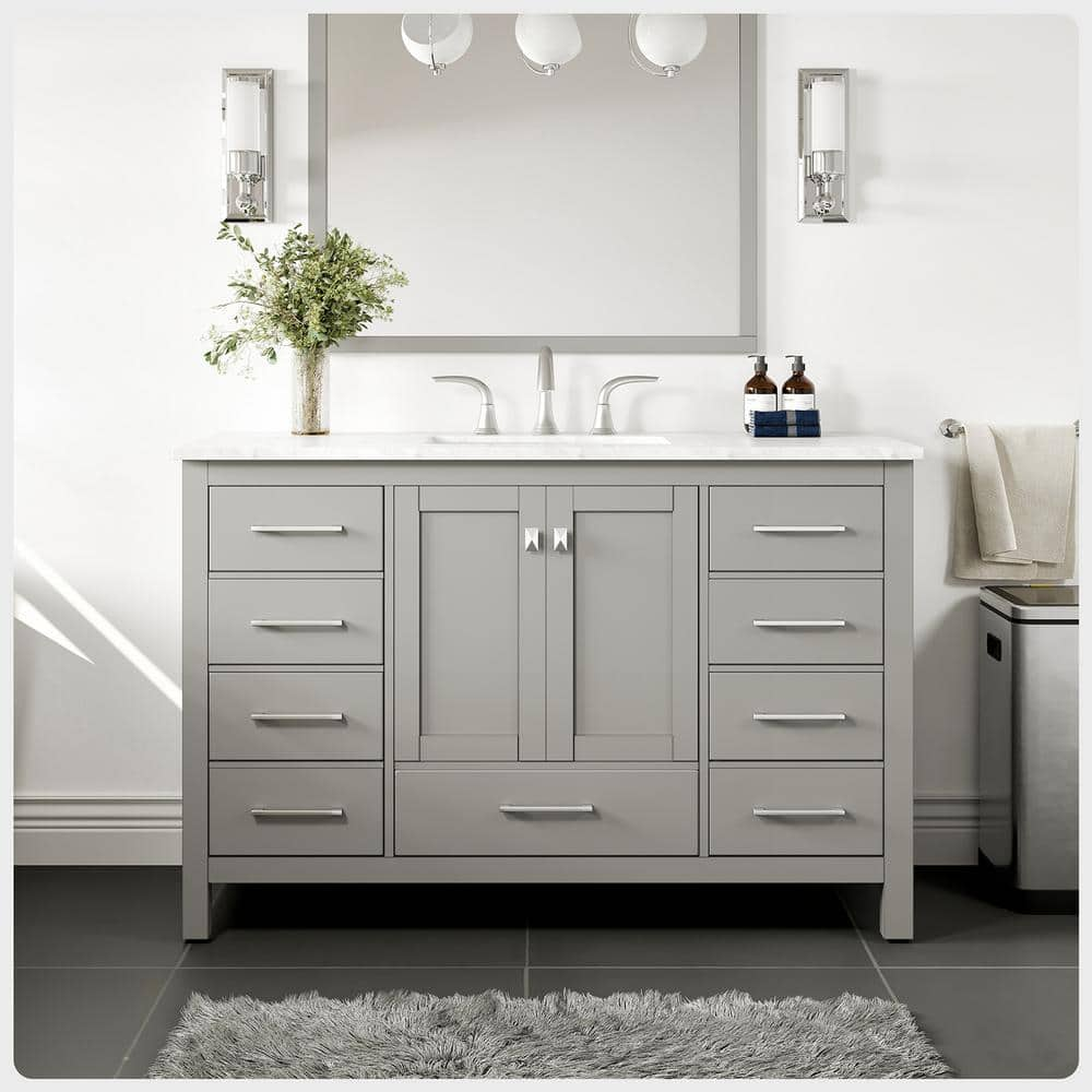 Eviva Aberdeen 48 in. W x 22 in. D x 35 in. H Bath Vanity in Gray with ...