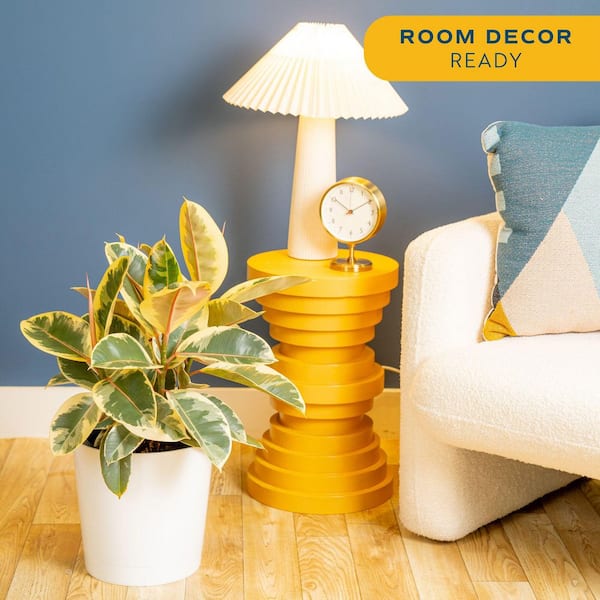 Grower's Choice Ficus Indoor Plant in 10 in. Decor Planter, Average Shipping Height 2-3 ft. Tall