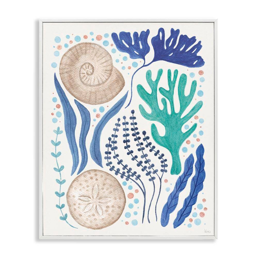 Scattered Marine Life by Veronique Charron White Framed Coastal Giclee Art Print 20 in. x 16 in. price history on PriceWatchPro