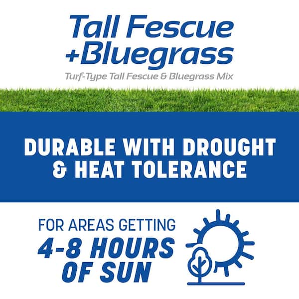 Smart Seed Professional Tall Fescue with Bluegrass Mix 50 lbs. 3,000 sq. ft. Grass Seed Pallet (20-Bags)