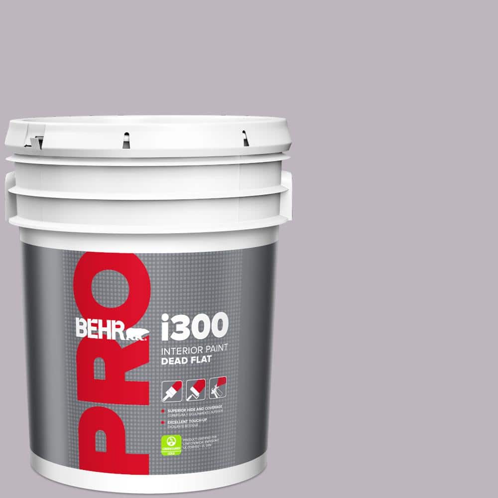 5 gal. #N100-3 Future Vision Dead Flat Interior Paint price history on PriceWatchPro