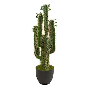 Indoor 2.5 ft. Cactus Artificial Plant