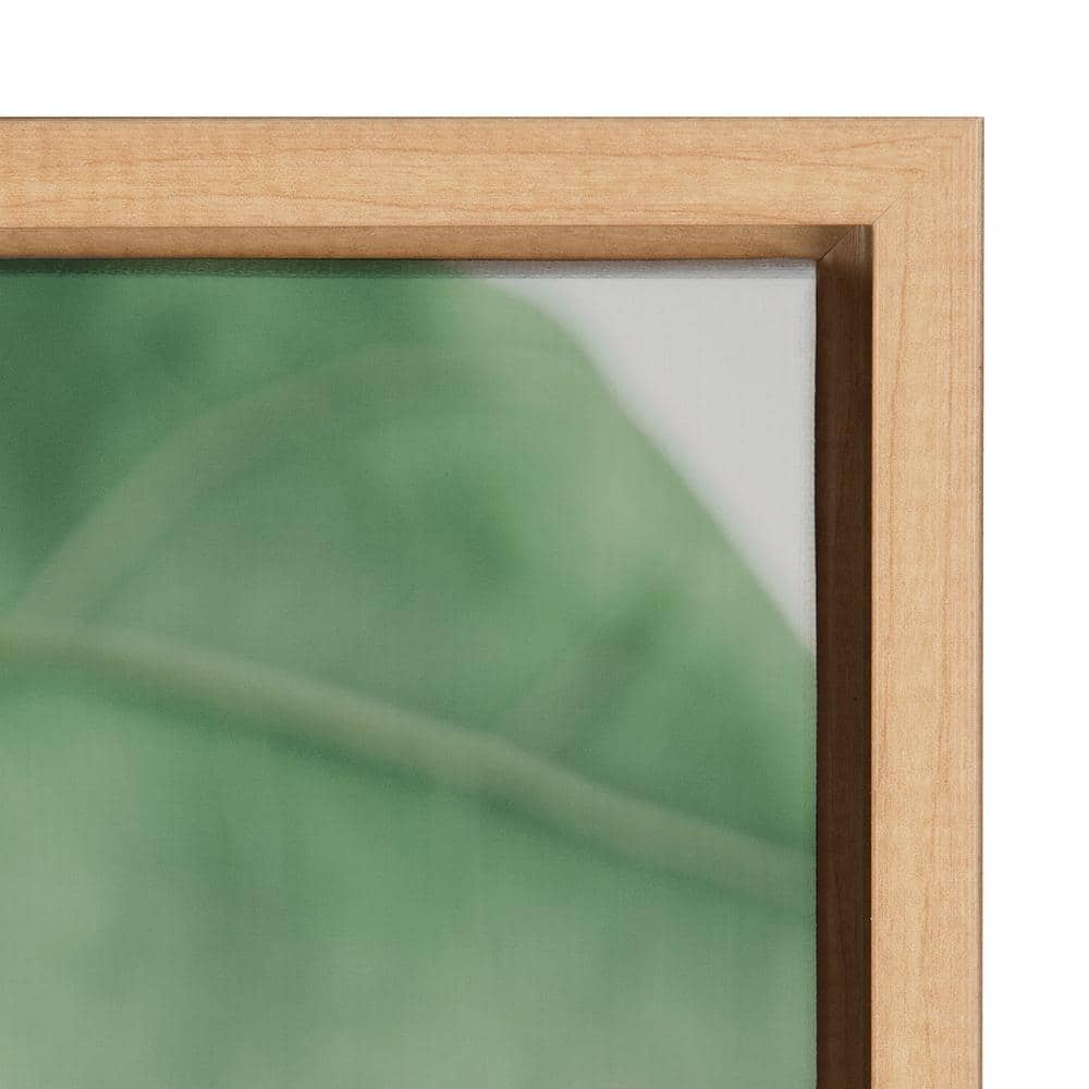 Natural Green Leaf Study Framed Canvas Wall Art, 23x33