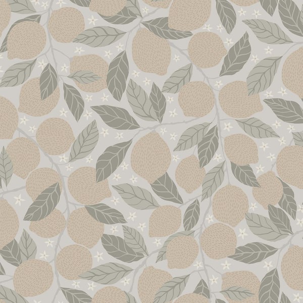 A-Street Prints Lemona Grey Fruit Tree Non Woven Paper Wallpaper Sample