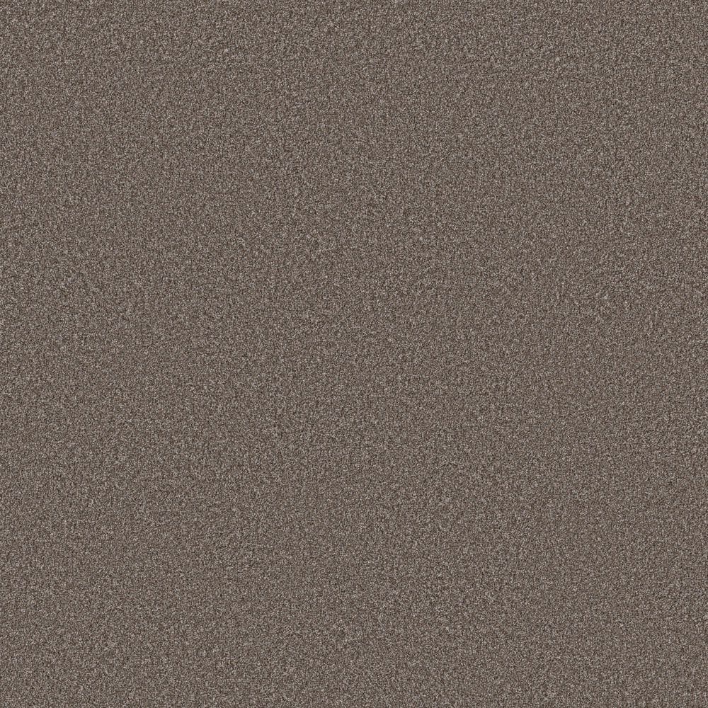 8 in. x 8 in. Texture Carpet Sample - Snug Sweets II - Color Rodeo price history on PriceWatchPro