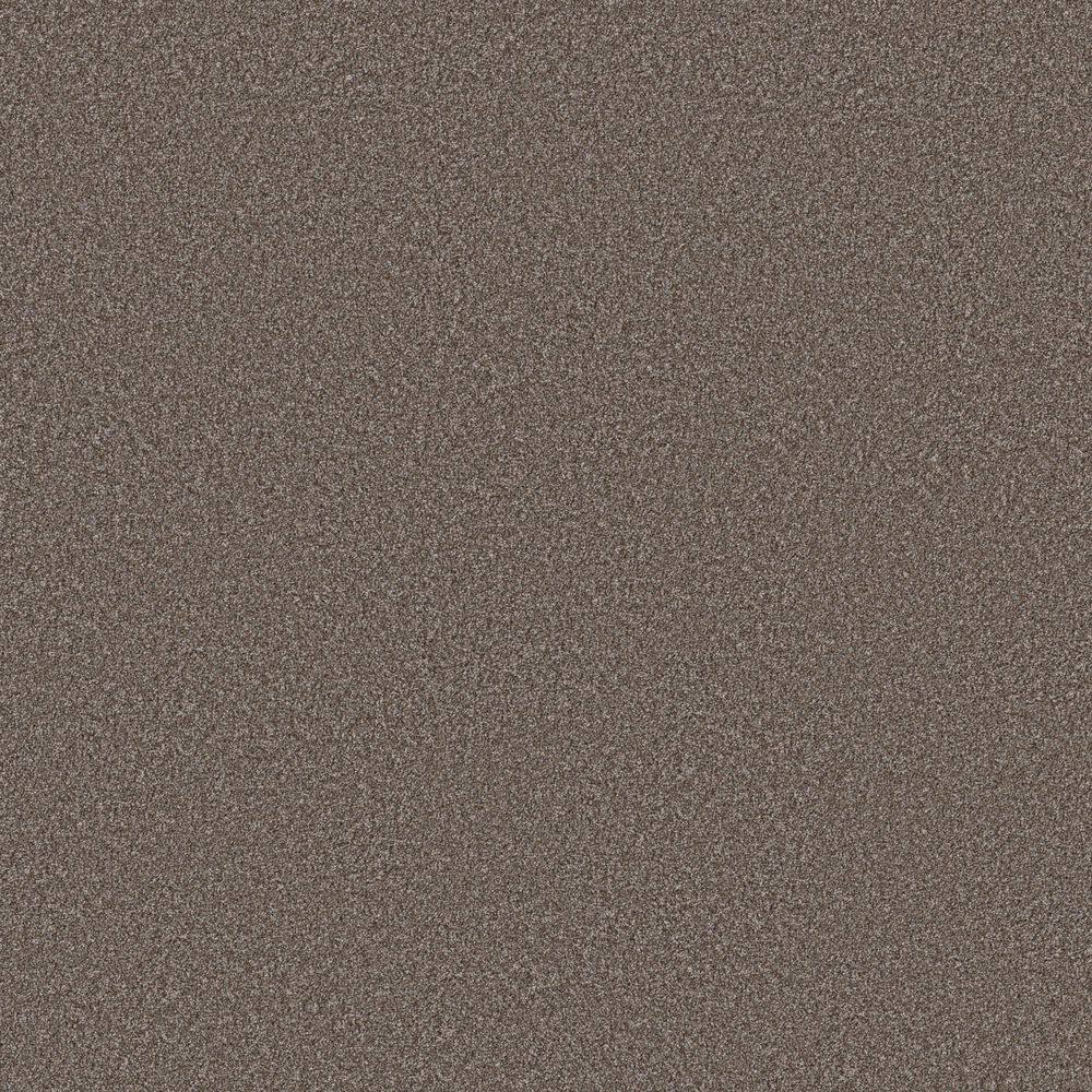 8 in. x 8 in. Texture Carpet Sample - Snug Sweets III - Color Rodeo price history on PriceWatchPro