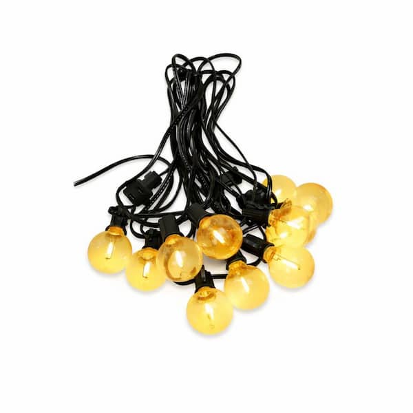 12 Light 24 ft. Indoor/Outdoor Plug-In LED Edison Style String-Light