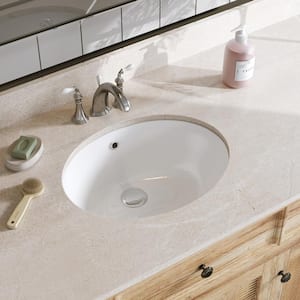 19-11/16 in. Oval Porcelain Ceramic Undermount Bathroom Sink in White with Overflow Drain