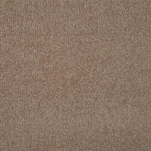 Feather - Saddle - Brown 12 ft. 54 oz. Wool Texture Installed Carpet